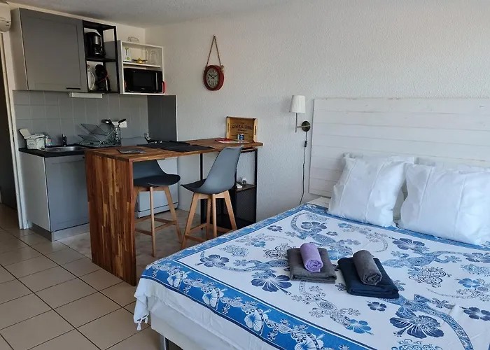 43 Climatise Terrasse Vue Apartamento Le Grau-du-Roi